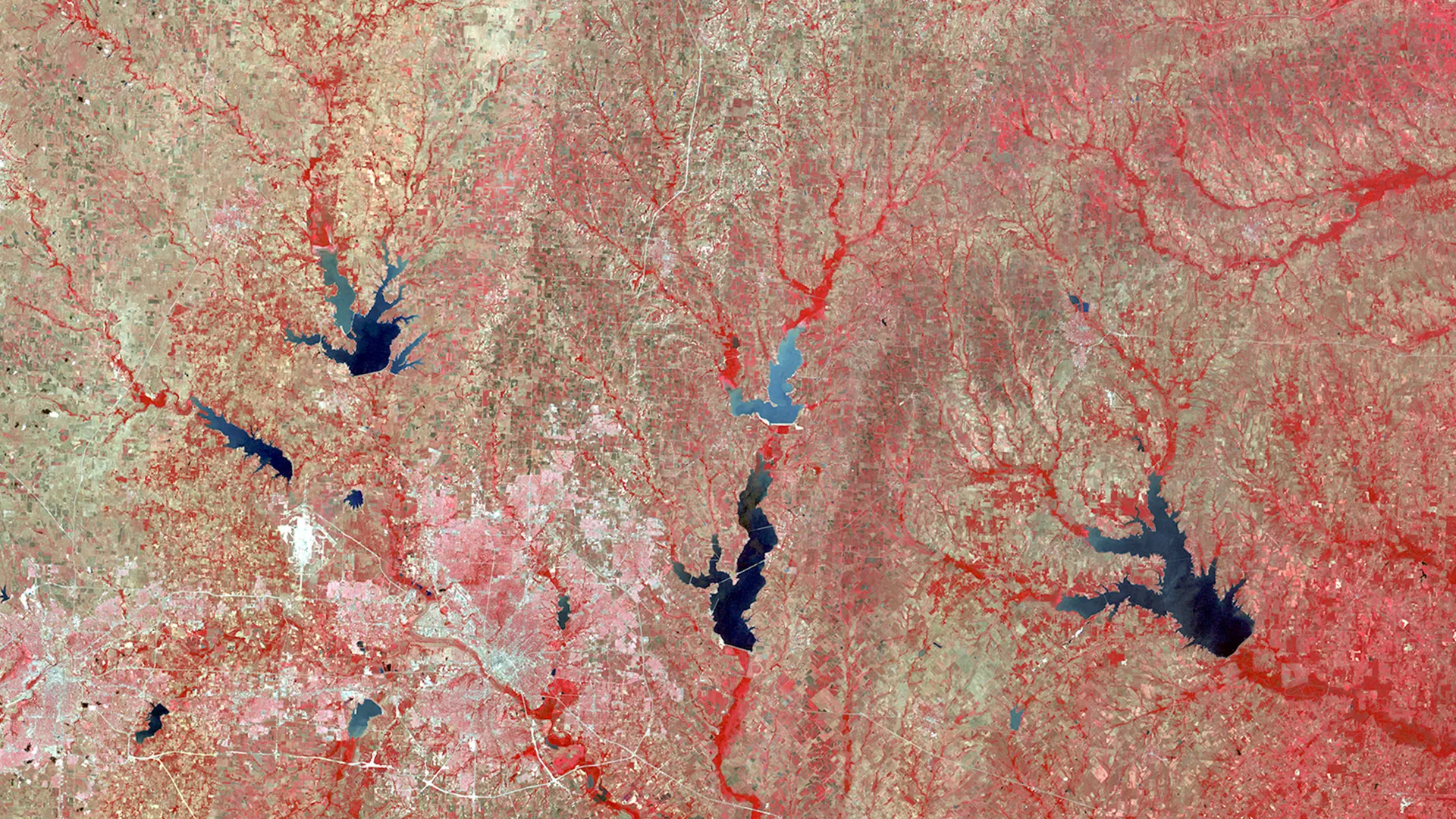 False-color satellite image of north Texas: red streams and fields, dark blue reservoirs, and the pale pink sprawl of Dallas–Fort Worth at lower left.