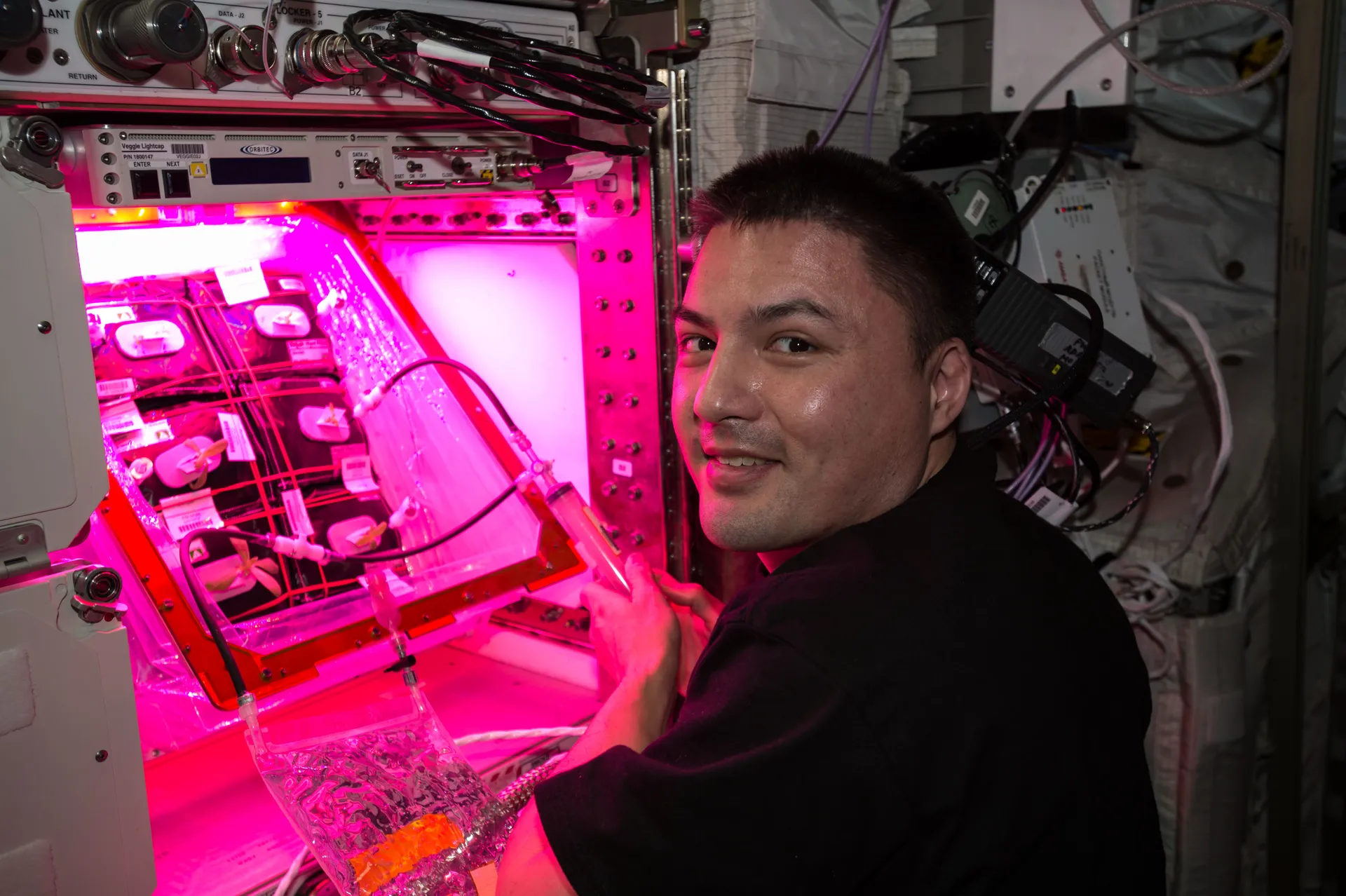 Kjell Lindgren smiles beside the open Veggie chamber, which glows magenta around rows of small zinnia plants.