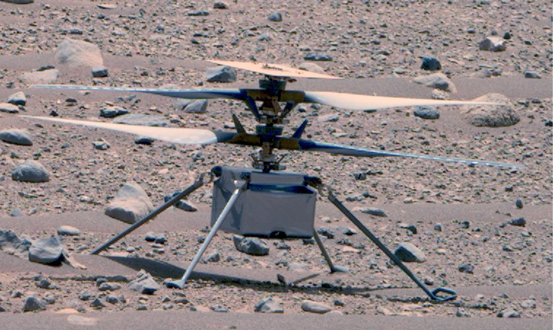 The small Ingenuity helicopter, with two stacked rotors and four thin legs, stands on pebbly ground.