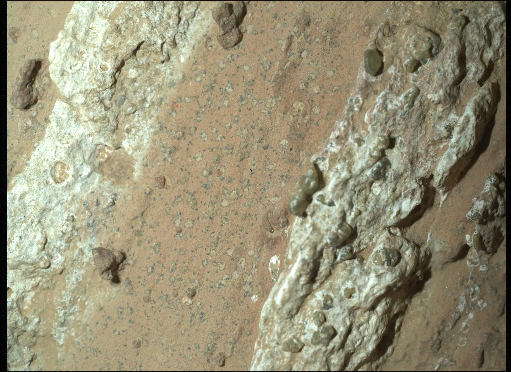A close-up of reddish rock crossed by white veins, with small pale spots ringed by dark material.