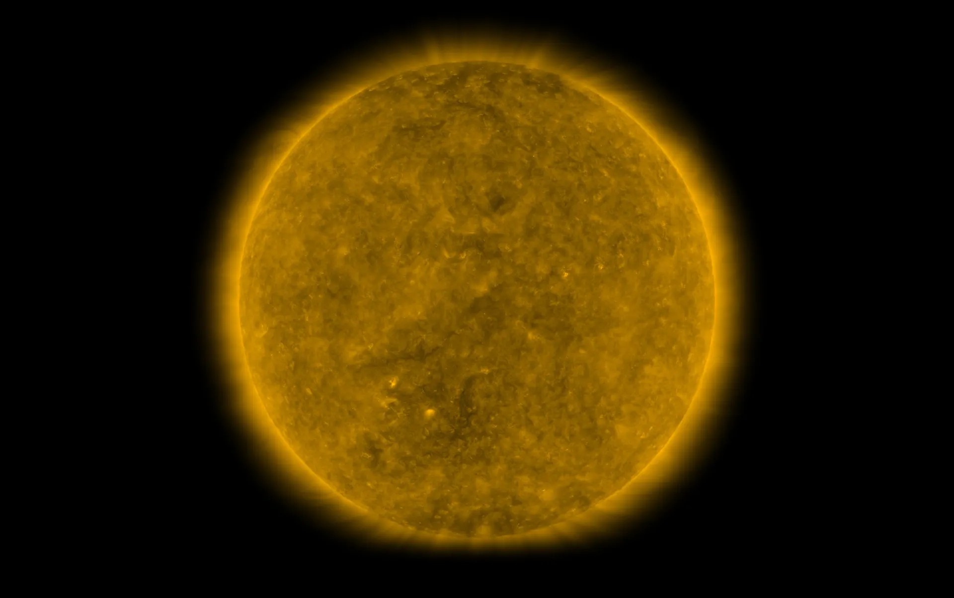 The Sun in gold extreme ultraviolet light, almost uniform in brightness, with a soft halo.